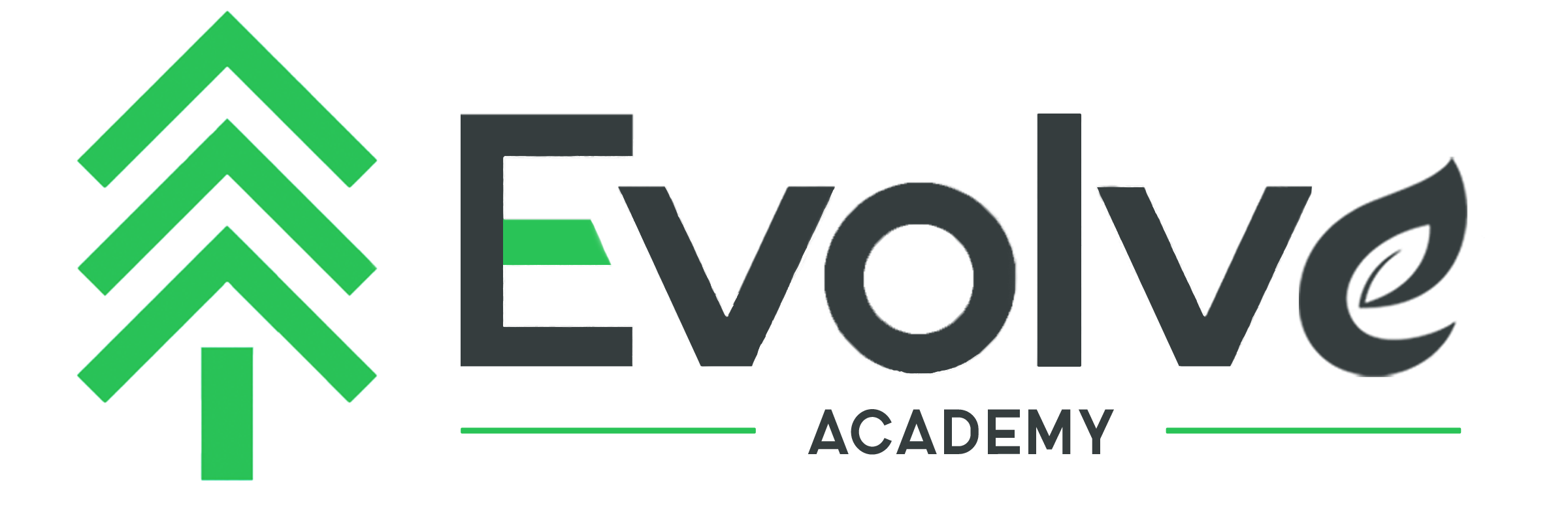 Evolve Academy
